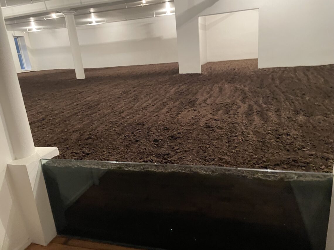 Una stanza dalle pareti bianche interamente riempita di terra scura, dal pavimento fino a un parapetto di vetro, nella New York Earth Room di SoHo