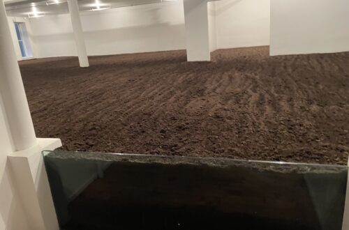Una stanza dalle pareti bianche interamente riempita di terra scura, dal pavimento fino a un parapetto di vetro, nella New York Earth Room di SoHo